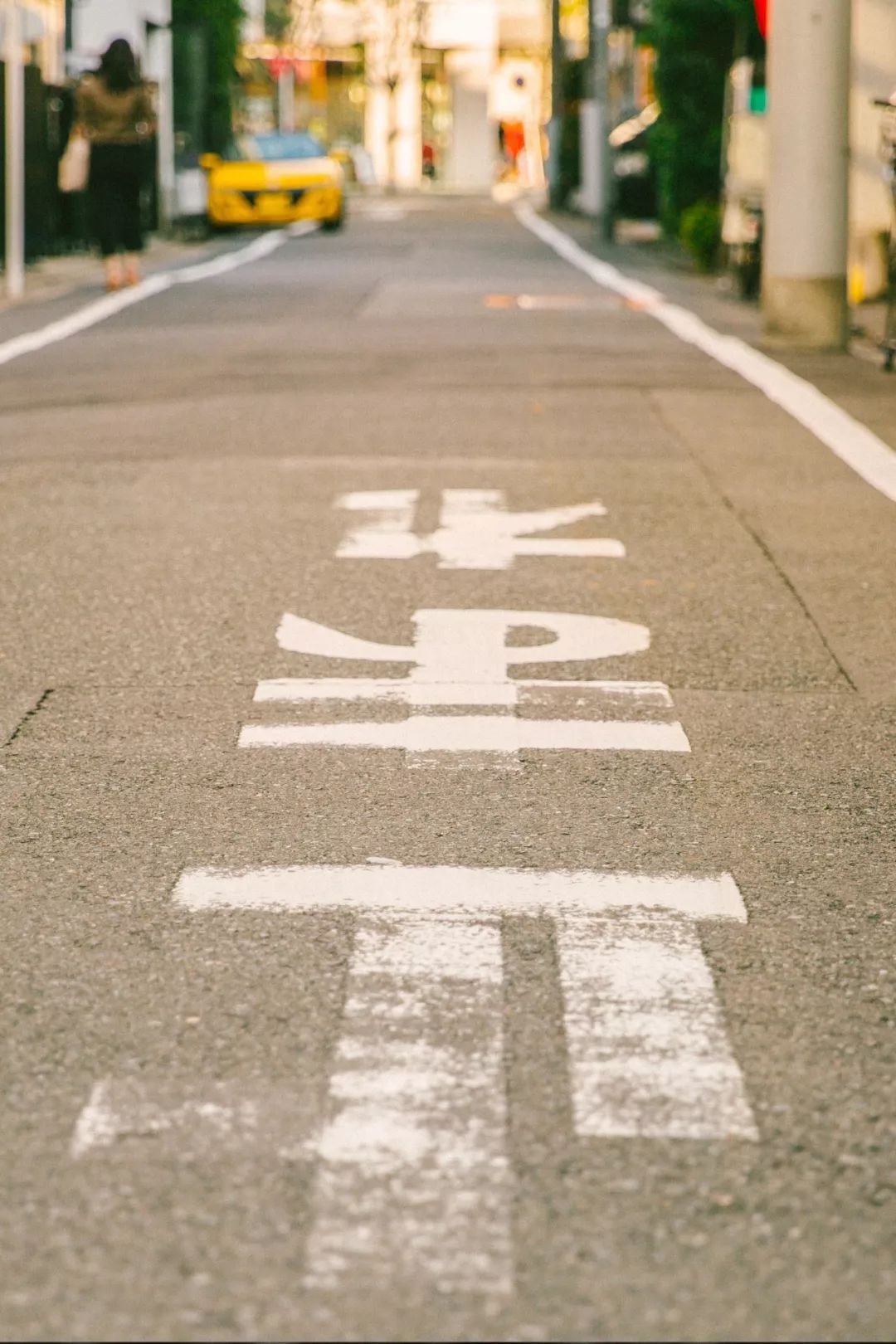 你愿意花3000买一双帆布鞋吗,你愿意花1000元买只猫吗