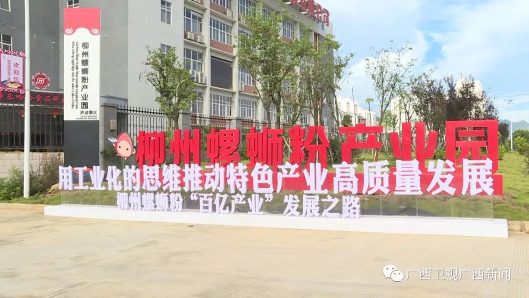 被马云看上的年轻人,被马云看上的人