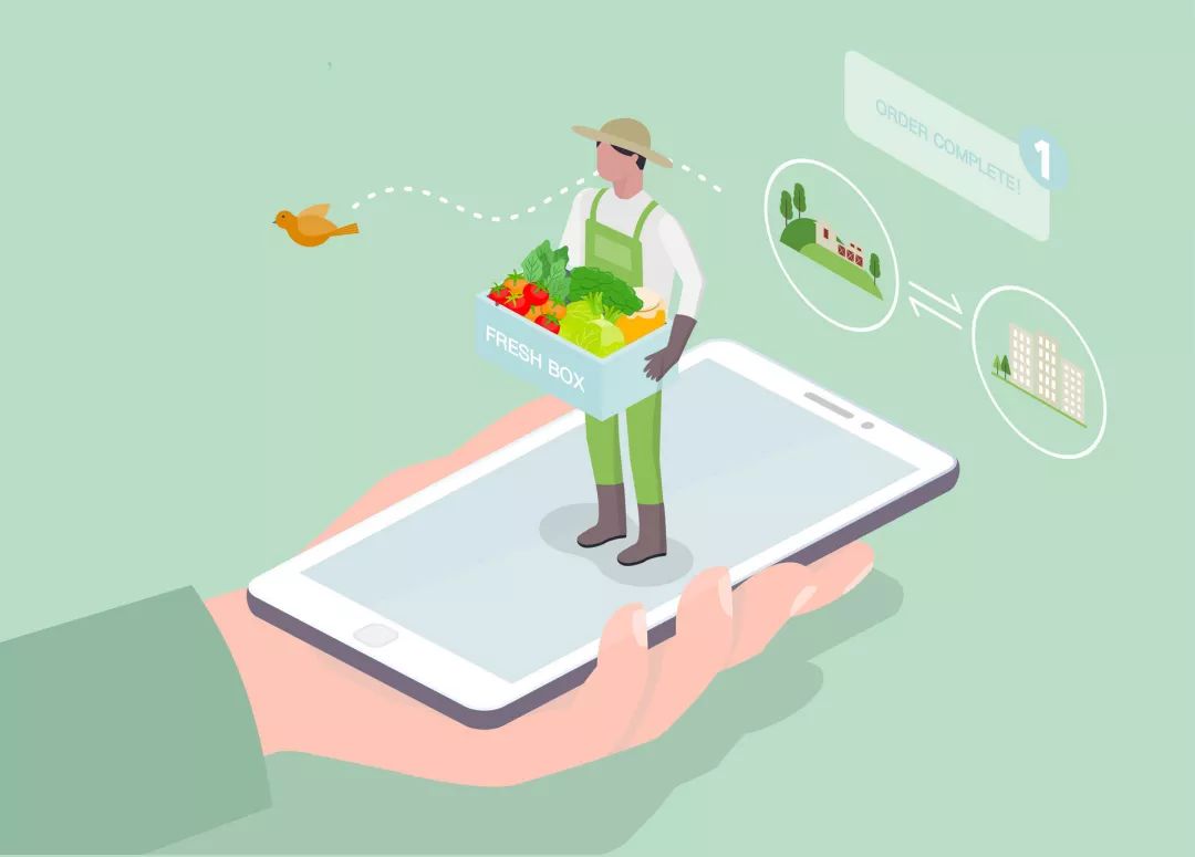 从“村小二”到电子商务师