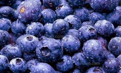 花青素的功效用量,花青素和维c一起吃有什么功效