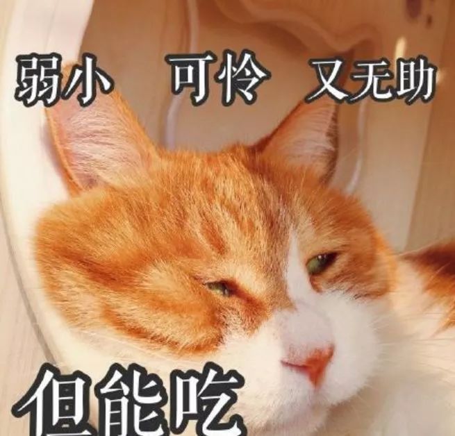 剪刀法找猫为什么灵验,剪刀找猫法的禁忌