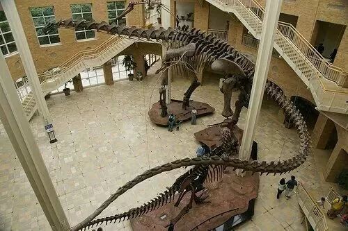 霸王龙南方巨兽龙三角龙,升级版的霸王龙对战南方巨兽龙