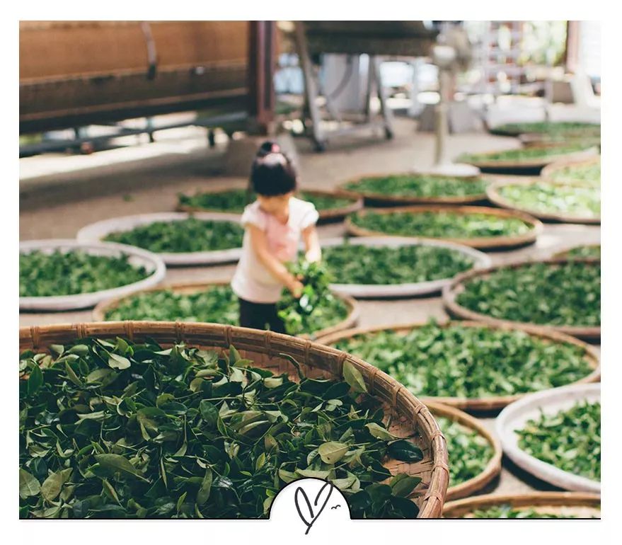 东野圭吾经典句子赏析100字,东野圭吾笔下最经典的100句话