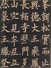 姹夌繑娓稿,姹夌繑鐮斿娲诲姩