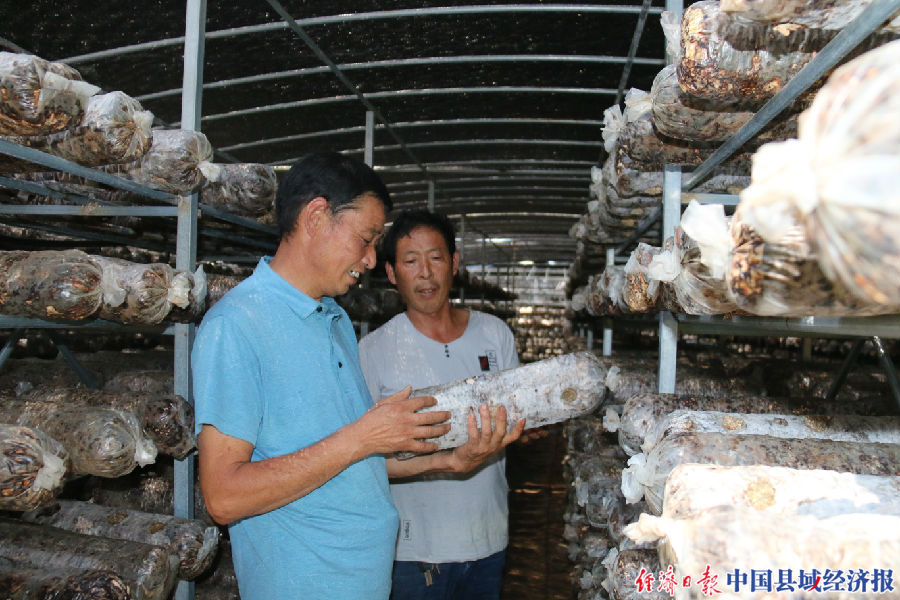 王广辽：带领群众甩“穷帽”