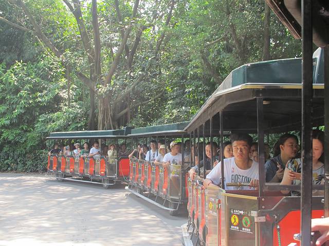 广东长隆亲子游推荐4-5天游,北京到广州长隆攻略亲子游三天