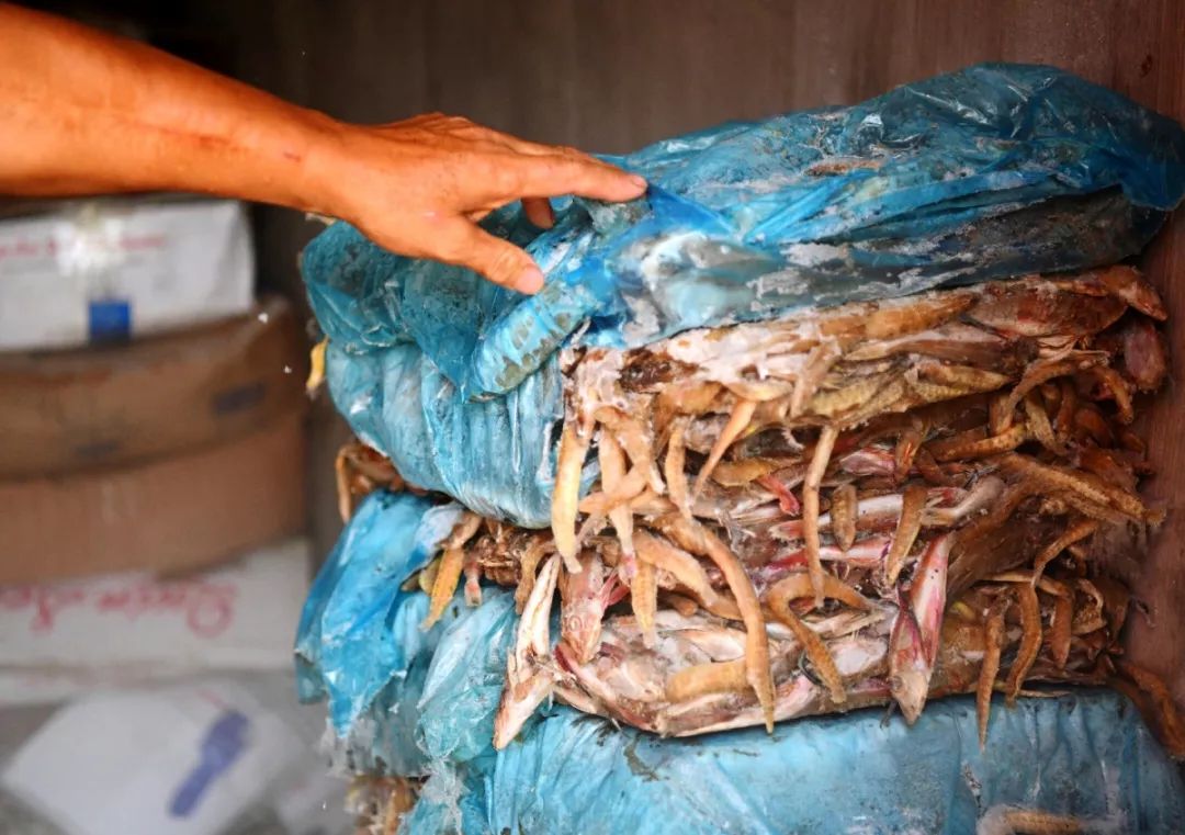 青岛梭子蟹什么时间最肥,青岛梭子蟹是养殖还是野生