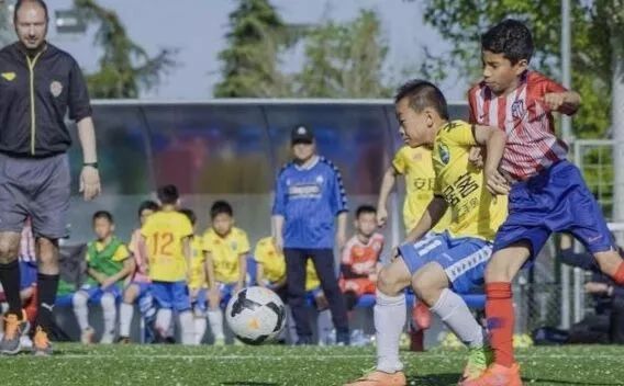 中国足球小将评价视频,夸奖中国足球小将