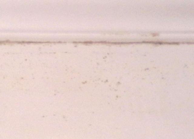 墙顶发霉要重新刷漆多久能入住,墙壁发霉掉漆怎么办