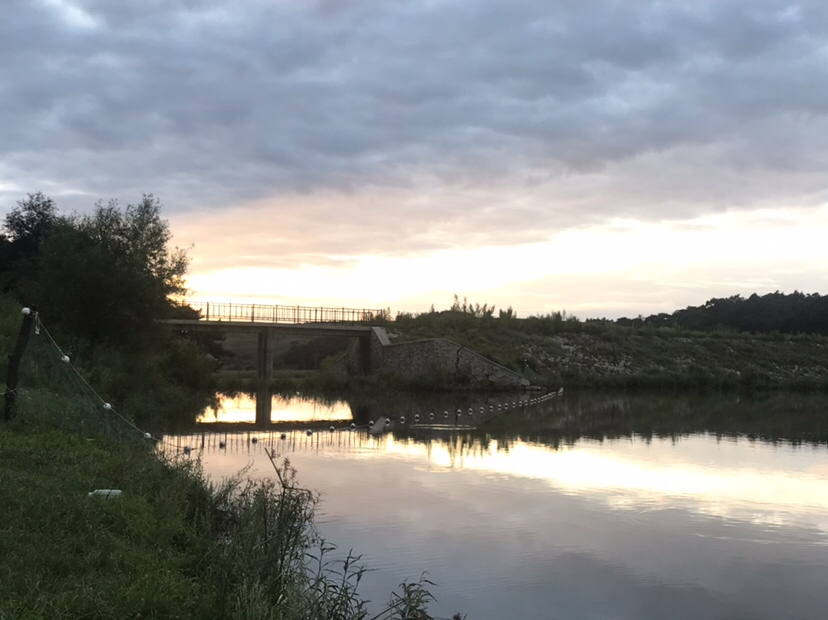 水库夜钓鲤鱼草鱼视频,水库夜钓大鲤鱼