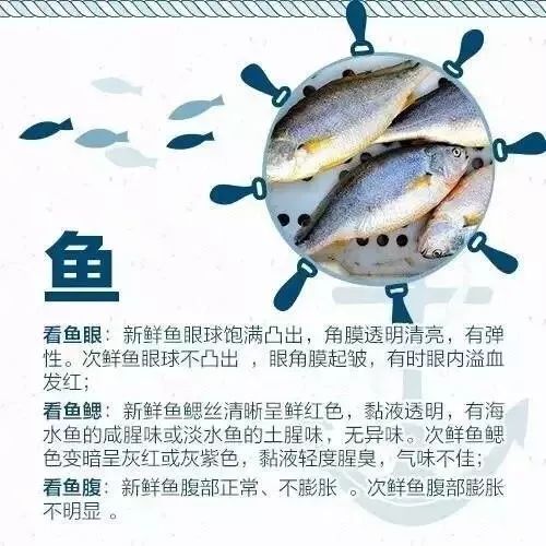 开海买海鲜攻略,开海了一般市场海鲜什么时候便宜