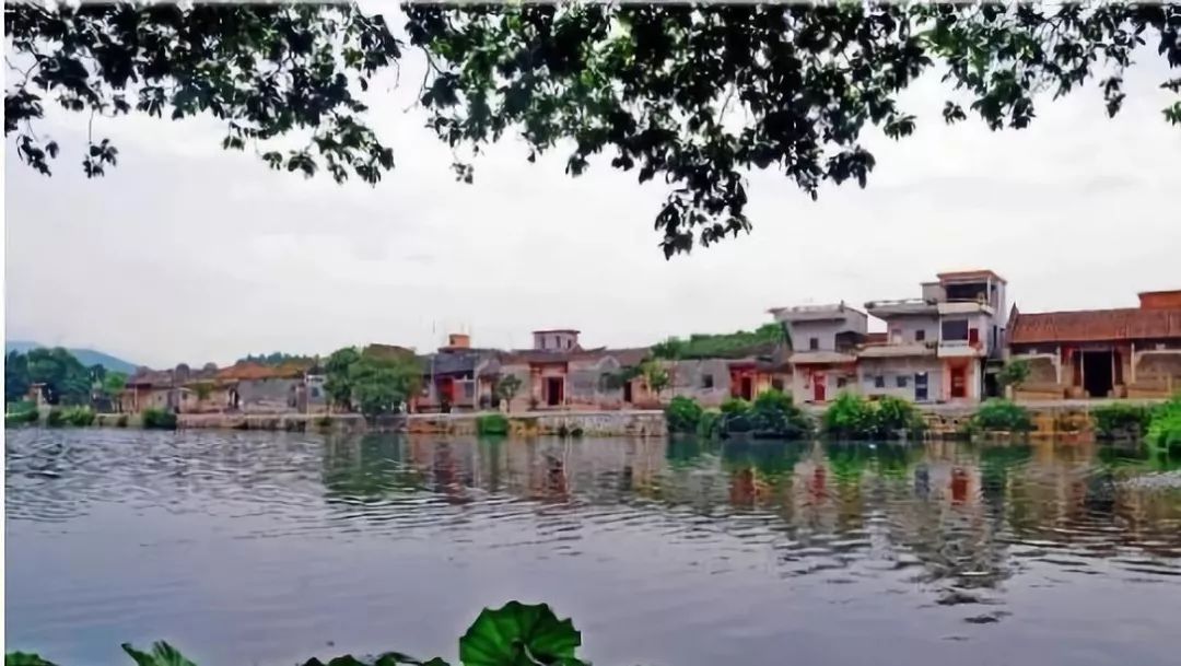 权威发布|这样的花都，太上头了！