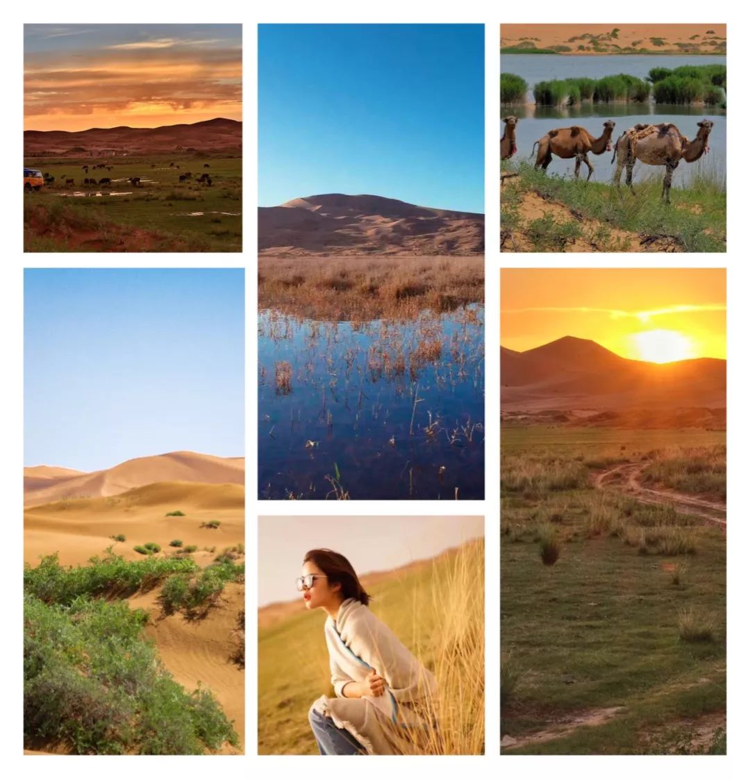 人人都是抢手大学生丨疯狂面试官网罗8大秘籍，召唤5天4夜沙漠行