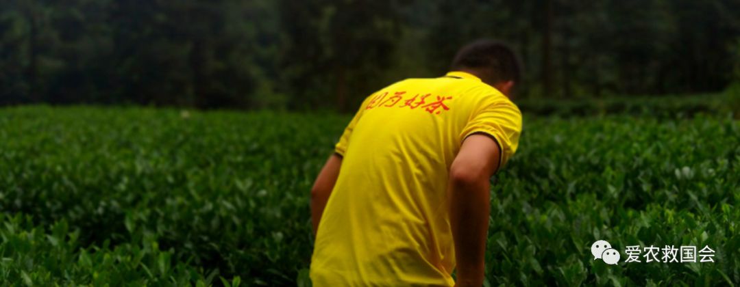 宀╄尪鍒惰尪鏁欏,鍒惰尪宸ヨ壓涓庤尪鏂囧寲