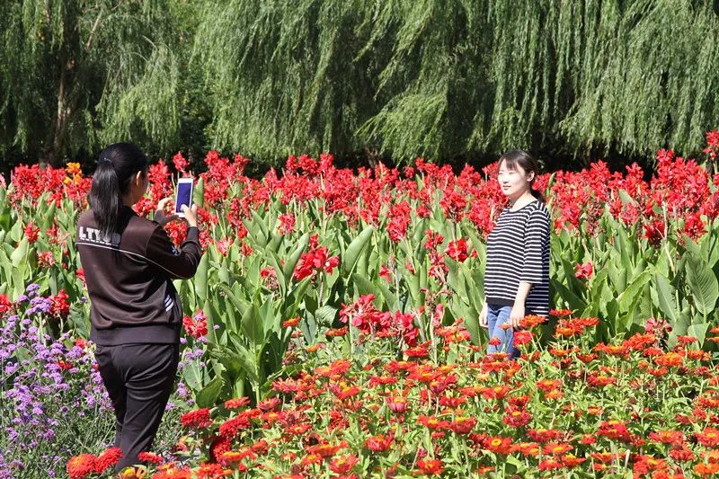 包头花海景点,包头花海美景