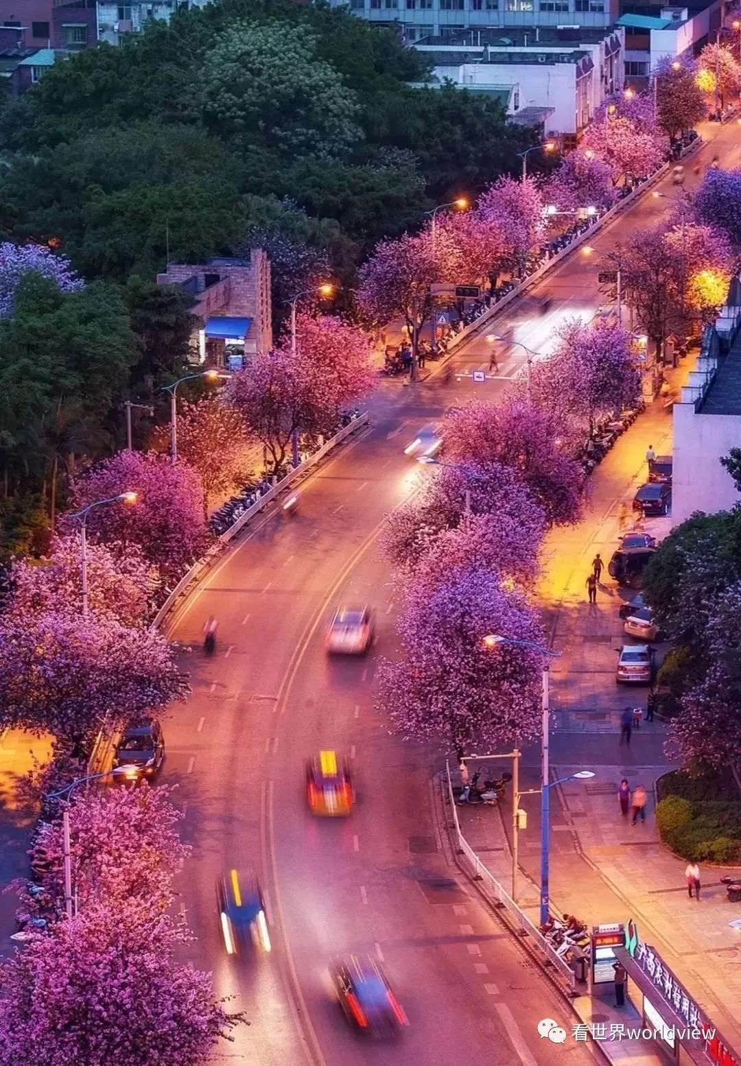 广西今日头条地址,广西有哪些头条自媒体