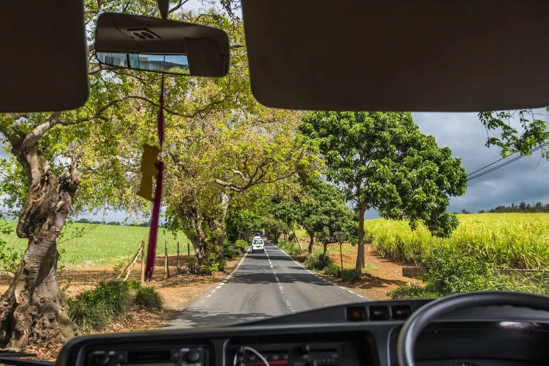 毛里求斯的基础知识,毛里求斯的十个秘密