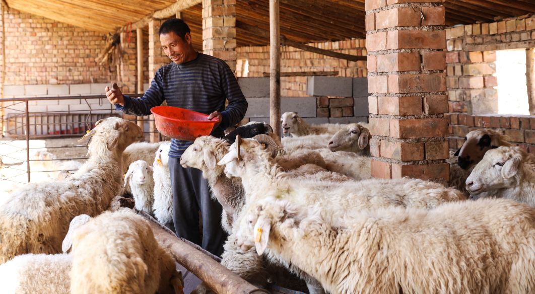 速看甘肃发布重要通知,速看甘肃省政府出台重要意见