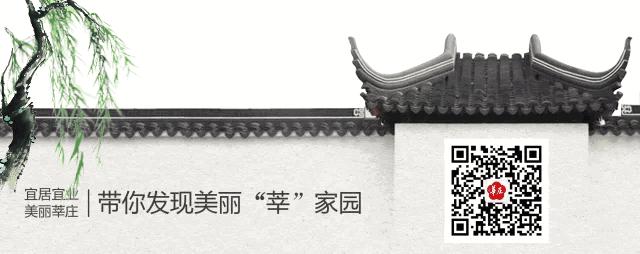 爱上莘庄的理由，一定有这两个字