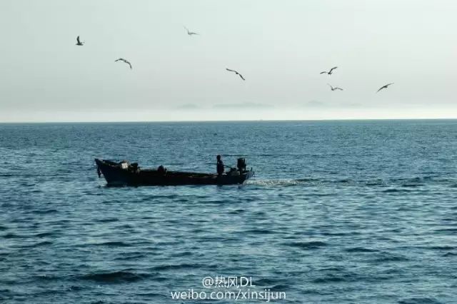 大连开海后的海鲜,开海了吃海鲜去哪个码头最便宜