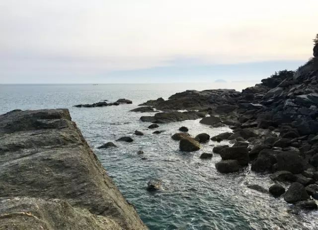 大连开海后的海鲜,开海了吃海鲜去哪个码头最便宜