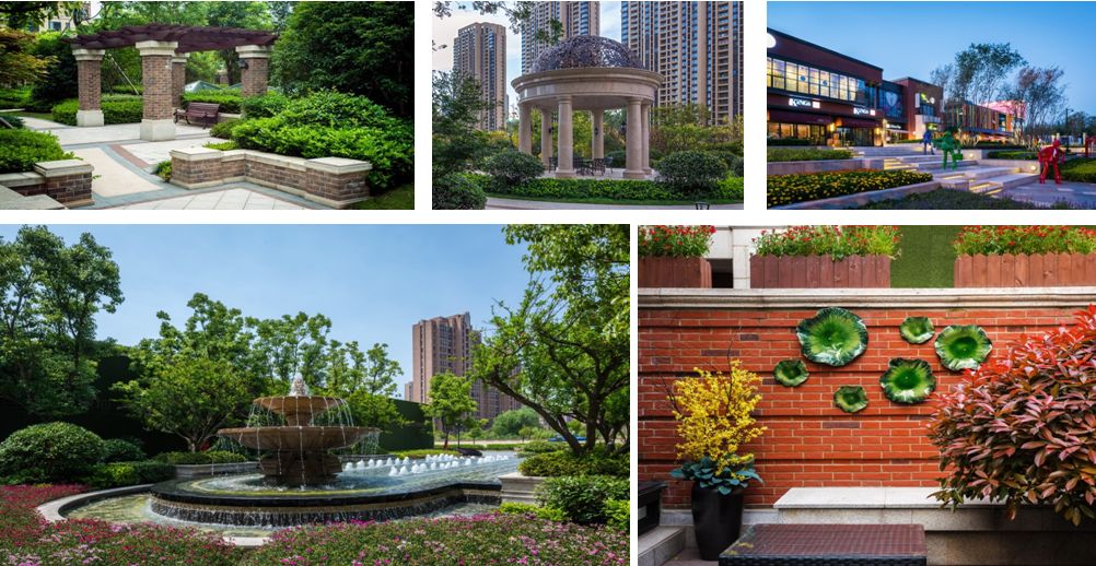 印象沧州市,印象沧州大运河