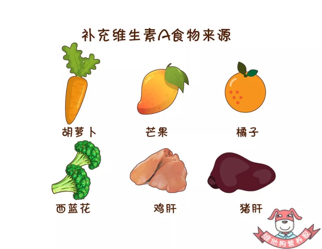 熬夜三年如何彻底改变作息,经常熬夜的人三班倒受得了吗