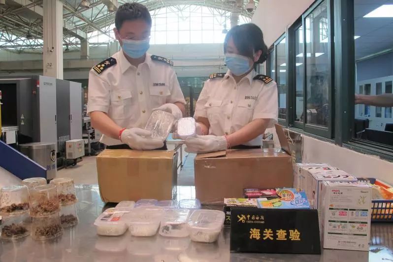 邮寄国际月饼注意什么,跨境邮寄月饼需要注意哪些