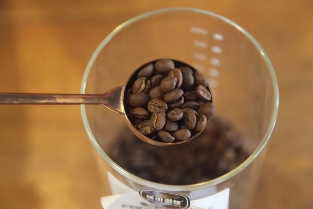 咖啡亲身体验制作过程,咖啡采摘方式及具体操作过程