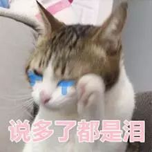 桂林特产野生果,广西桂林冬天山上的野果