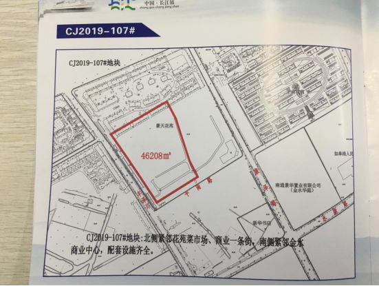 未来价值高地！长江边上这个镇“火”了，8幅优质地块即将挂牌出让