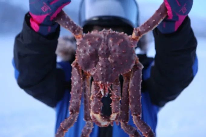 芬兰浪漫玻璃屋,芬兰住在哪里最合适