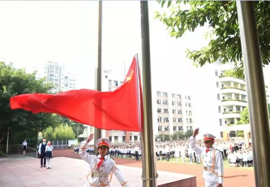 沙坪坝教育学校,沙坪坝最新建学校消息
