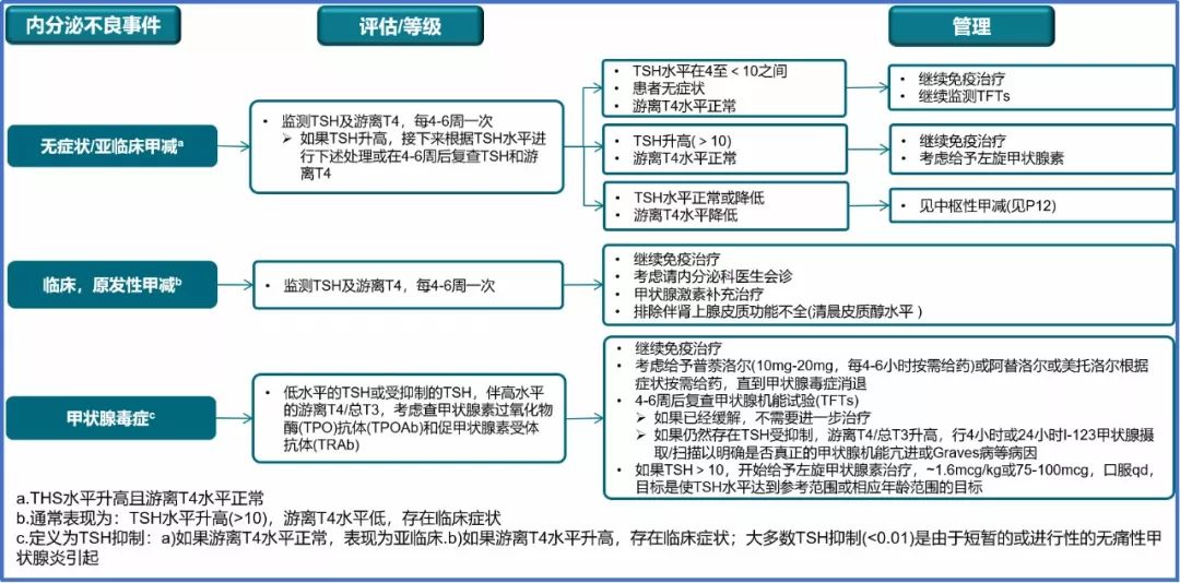 进言献策|免疫检查点*制剂抑**之内分泌不良反应