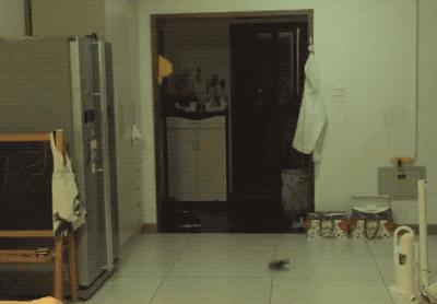 你吃的硬糖都是玻璃，所以能做成迷惑科学家400年的超硬玩具|科学DIY