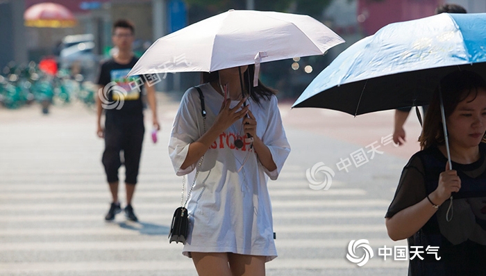 台风玲玲最新新闻,台风玲玲东北视频