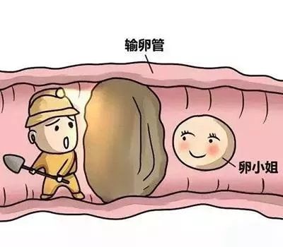 太仓首家！四维彩超造影检查助好“孕”