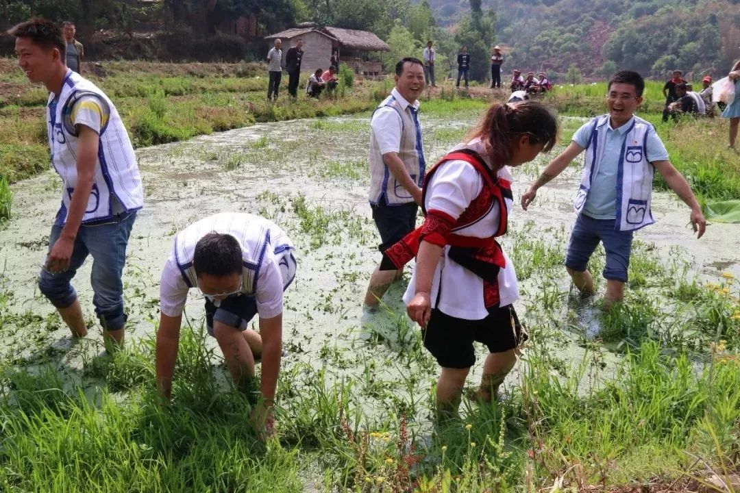 昆明周边景点排行榜前十名,昆明周边温泉一条龙游玩景点推荐