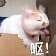 舶来品是真的吗,海外舶来品