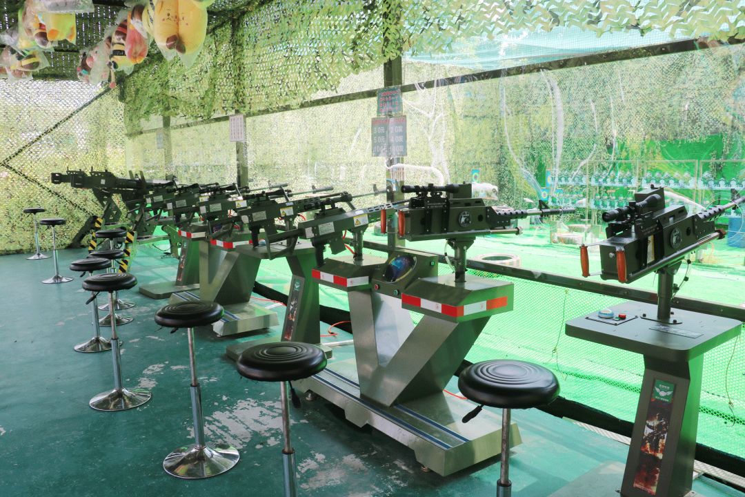 南沙百万葵园免费吗,南沙百万葵园开放时间最新