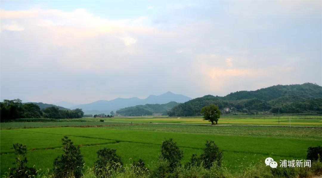 浦城最值得去的古村,浦城美丽乡村