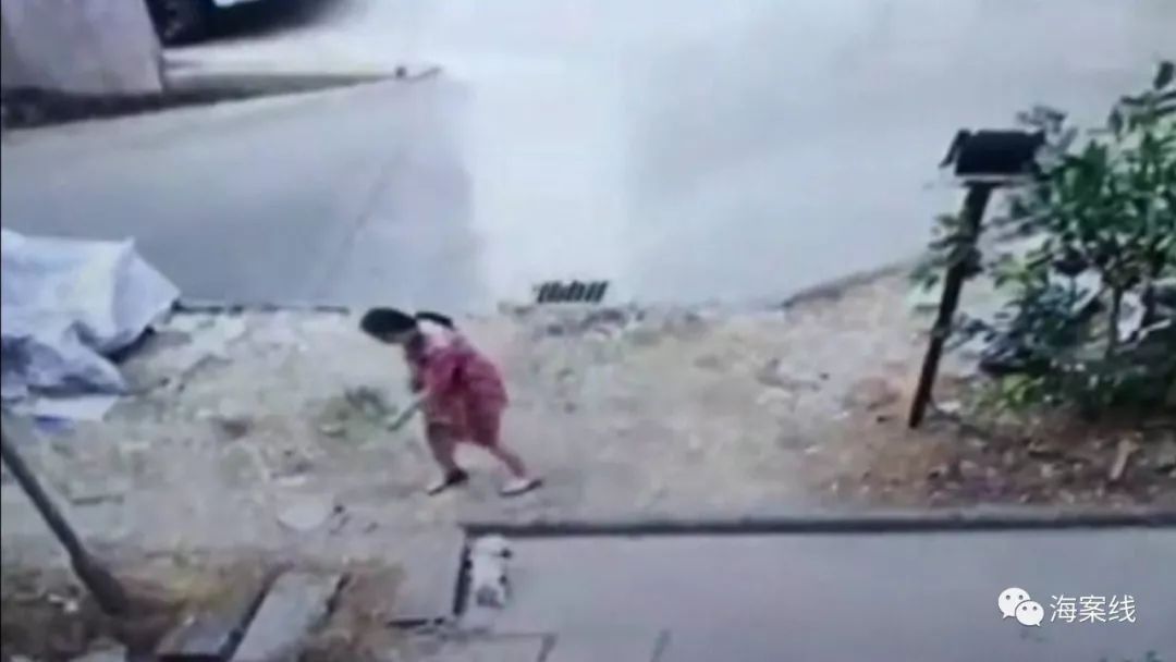 狗狗咬狗怎么赔偿,被狗咬狗主人不赔可以打死狗吗