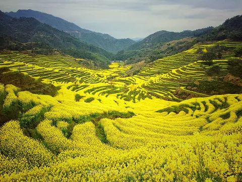 第一次跨国旅行热气球,热气球跨国旅行