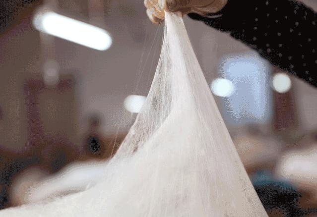 蚕丝被相关报道,桑蚕丝被曝光