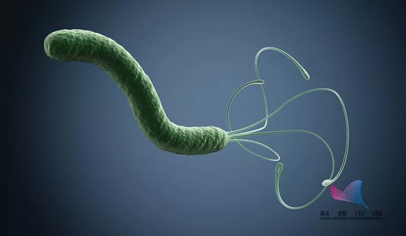 会传染的菌叫什么,铜绿菌会传染家人吗