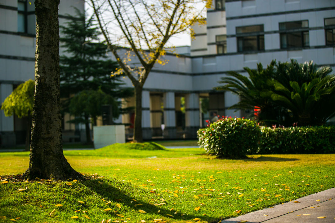 早把中欧作故园—我和中欧的十四年