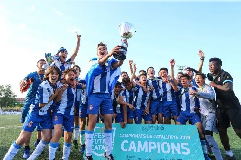 星辉娱乐陈雁升,陈雁升星辉娱乐有限公司