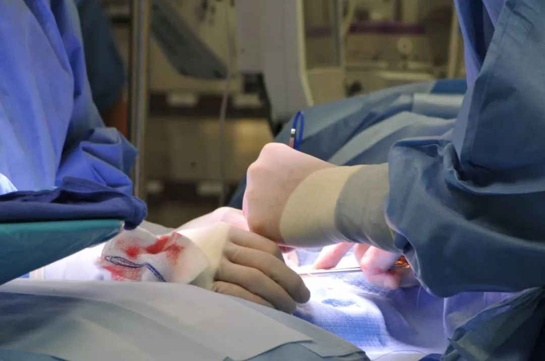 怎么避减肥训练营的坑,如何避坑培训公司