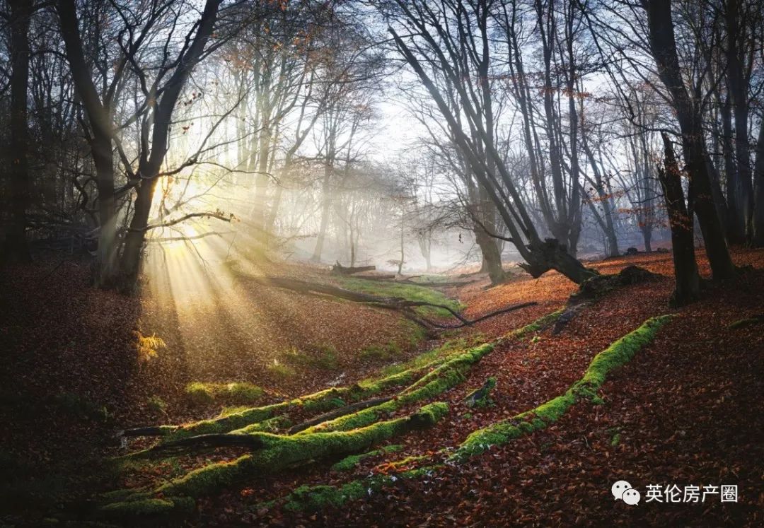 高品质别墅楼盘,稀缺别墅样板间出售