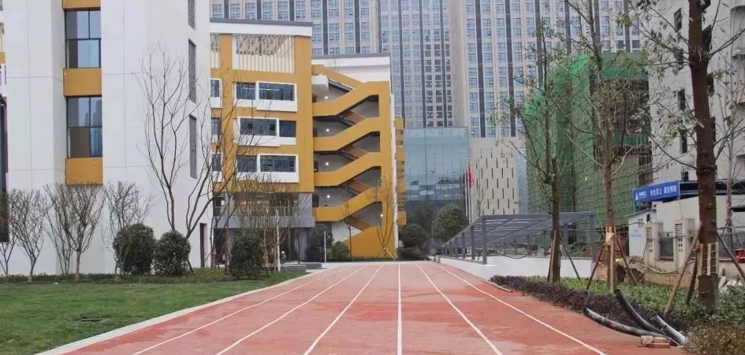 成都各区新投入使用小学大PK，到底谁才是成都新晋网红学校？（内含划片范围）